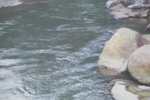 WhatsApp-Image-2022-08-05-at-16.01.37-461x1024-600x400